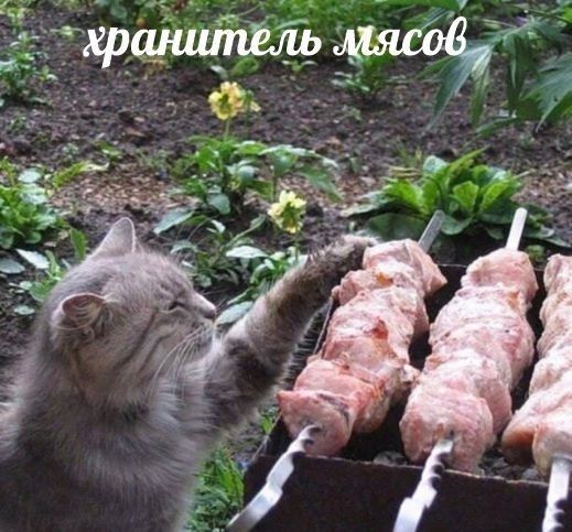 хранитель мясов