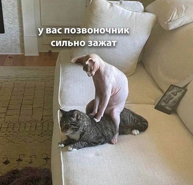 у вас позвоночник сильно зажат