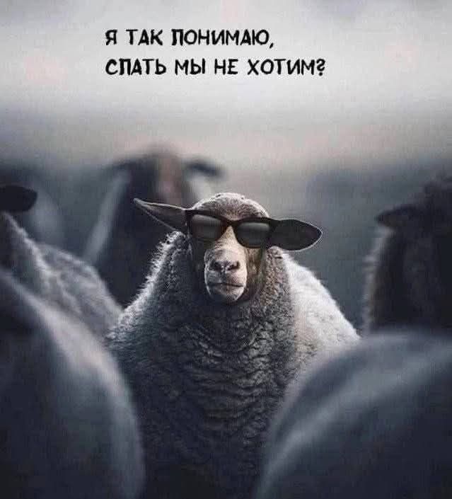 Я так понимаю, спать мы не хотим?