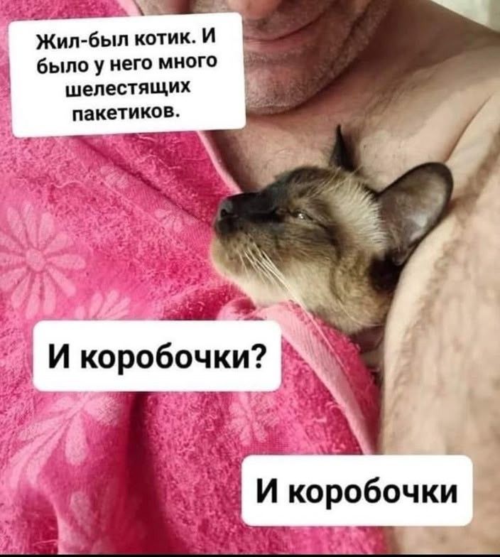 Жил-был котик. И было у него много шелестящих пакетиков. И коробочки? И коробочки