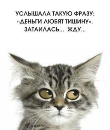 УСЛЫШАЛА ТАКУЮ ФРАЗУ: «ДЕНЬГИ ЛЮБЯТ ТИШИНУ», ЗАТАЙЛАСЬ... ЖДУ...