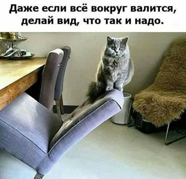 Даже если всё вокруг валится, делай вид, что так и надо.