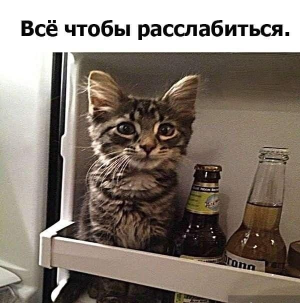 Всё чтобы расслабиться.