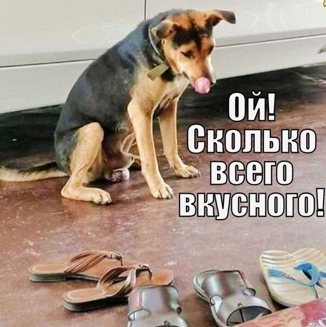 Ой! Сколько всего вкусного!