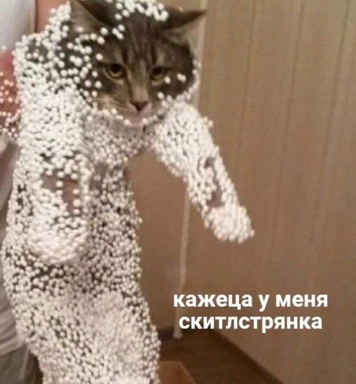 кажется у меня скитлстрянка