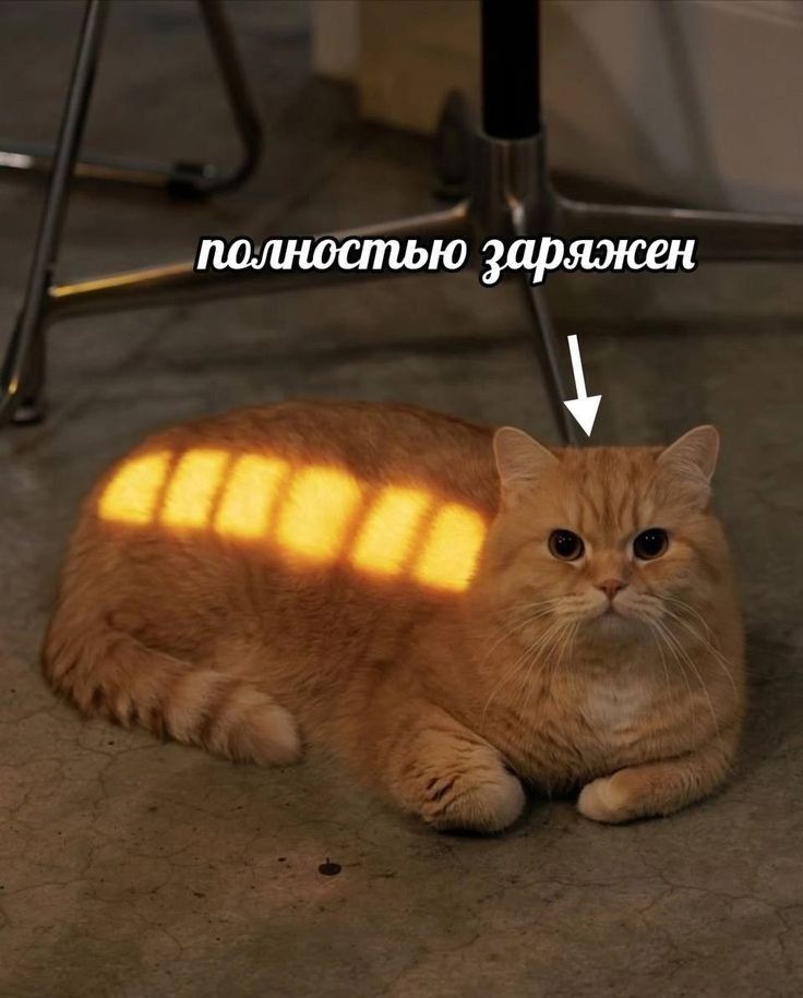 полностью заряжен