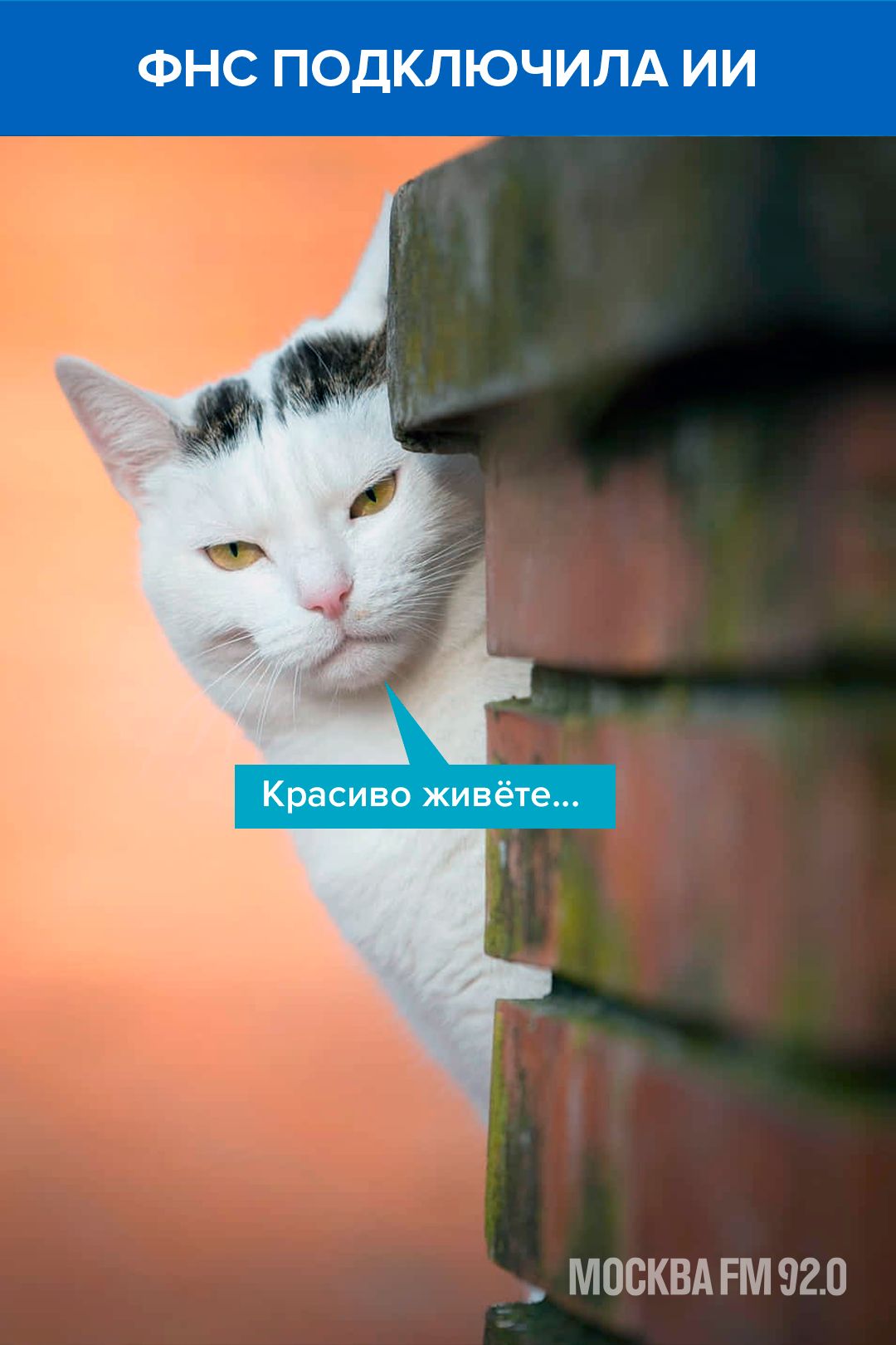 ФНС ПОДКЛЮЧИЛА ИИ Красиво живёте... МОСКВА FM 92.0