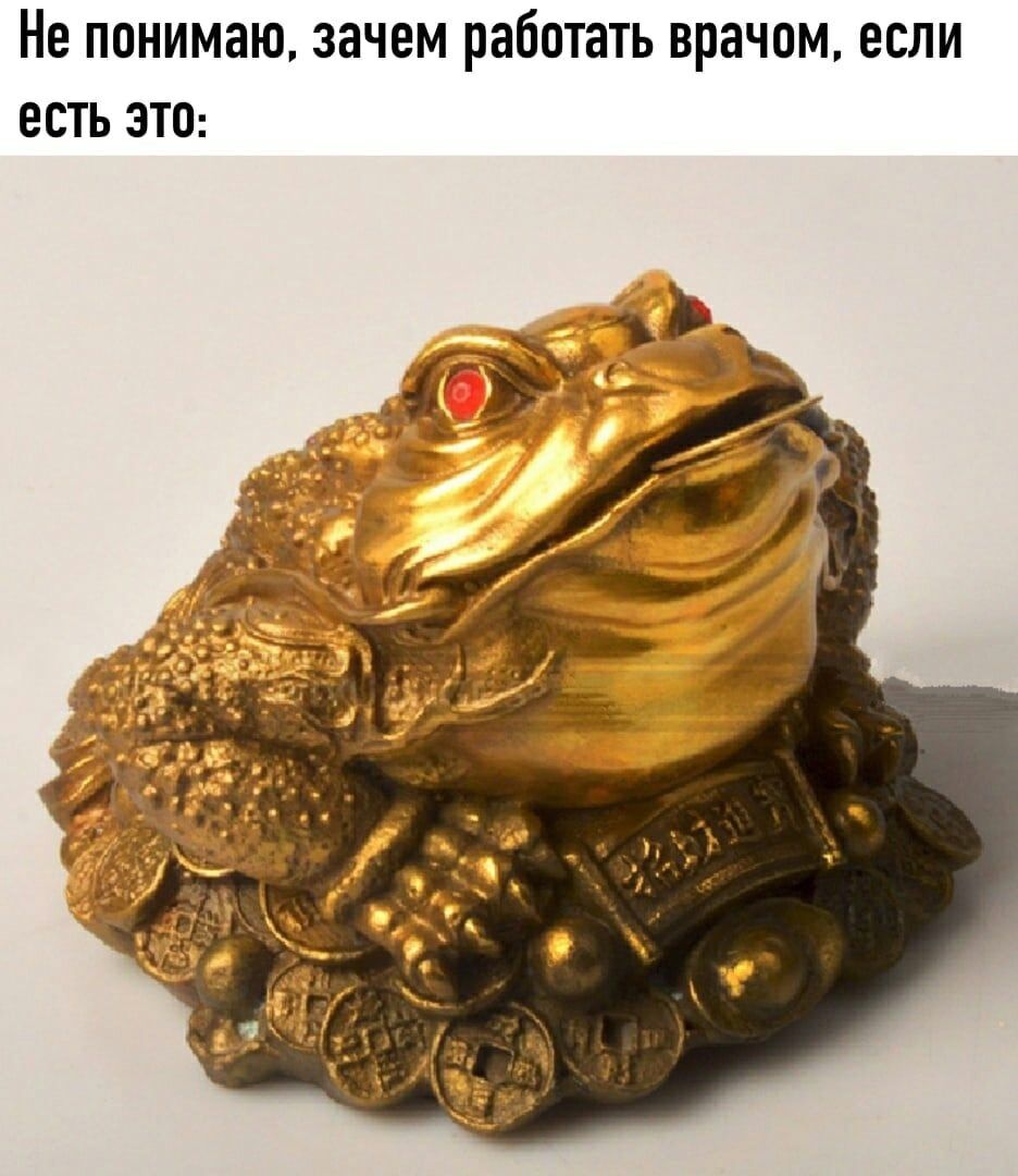 Не понимаю, зачем работать врачом, если есть это: