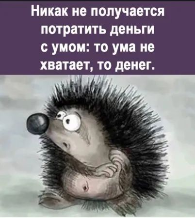 Никак не получается потратить деньги с умом: то ума не хватает, то денег.