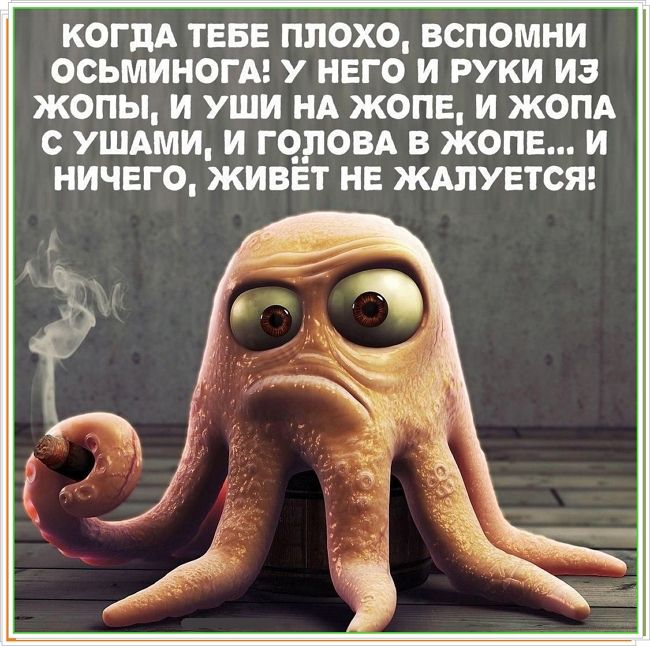 КОГДА ТЕБЕ ПЛОХО, ВСПОМНИ ОСЬМИНГА! У НЕГО И РУКИ ИЗ ЖОПЫ, И УШИ НА ЖОПЕ, И ЖОПА С УШАМИ, И ГОЛОВА В ЖОПЕ... И НИЧЕГО, ЖИВЁТ НЕ ЖАЛУЕТСЯ!