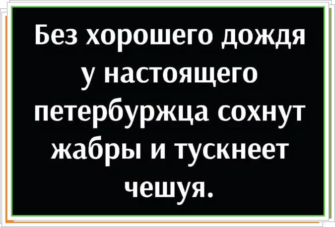 Без хорошего дождя у настоящего петербуржца сохнут жабры и тускнеет чешуя.