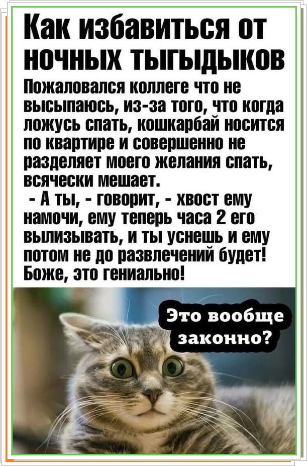 Как избавиться от ночных тягидылков? Пожаловался коллеге что не высыпался, из-за того, что когда ложусь спать, кошка носится по квартире и совершенно не разделяет моего желания спать, всяччески мешает. - А ты, - говорит, - хвост ему намочи, ему теперь часа 2 его вылизывать, и ты успешь и ему потом не до развлечений будет! Боже, это гениально! Это вообще законно?
