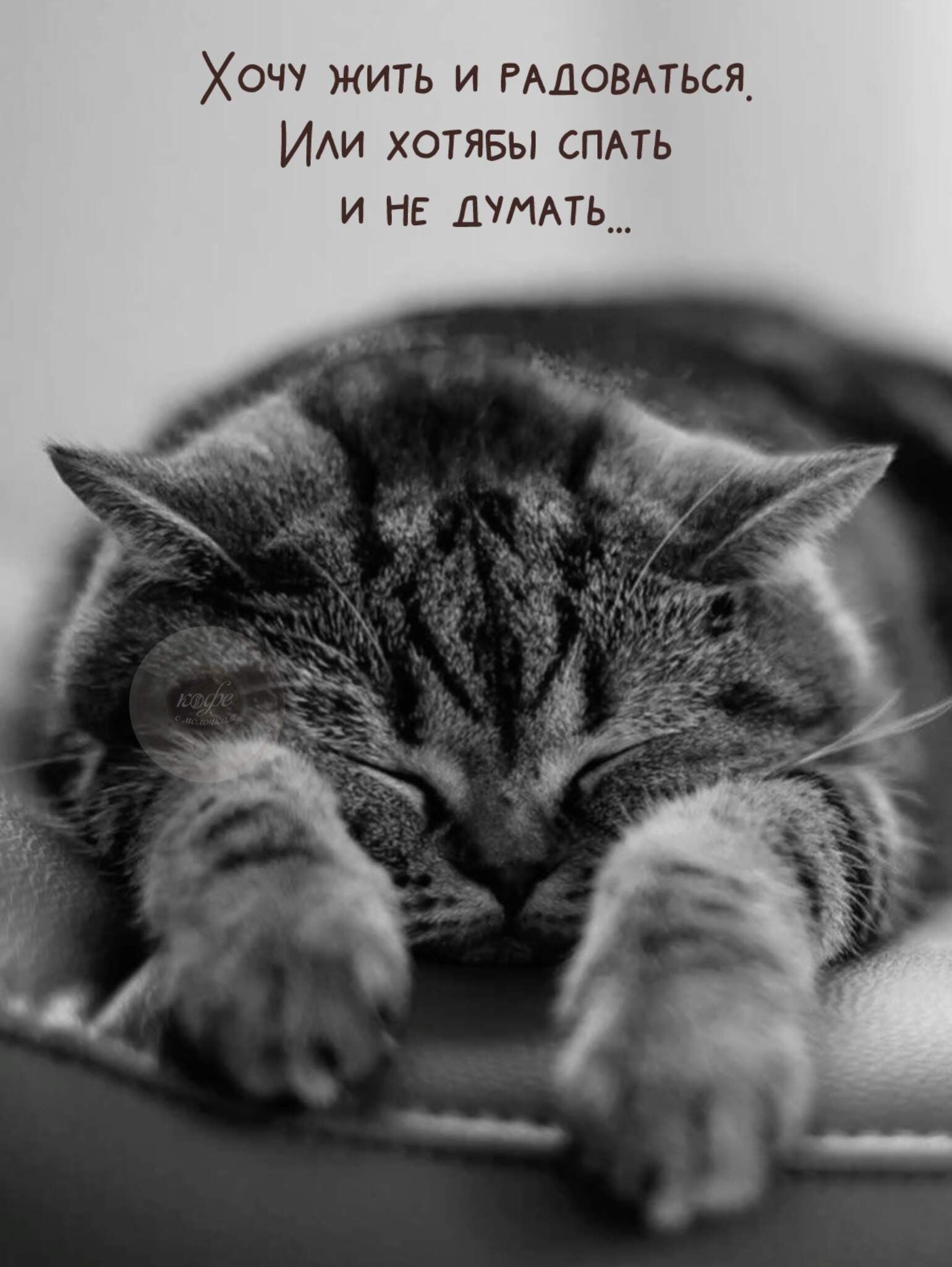 Хочу жить и радоваться. Или хотя бы спать и не думать...