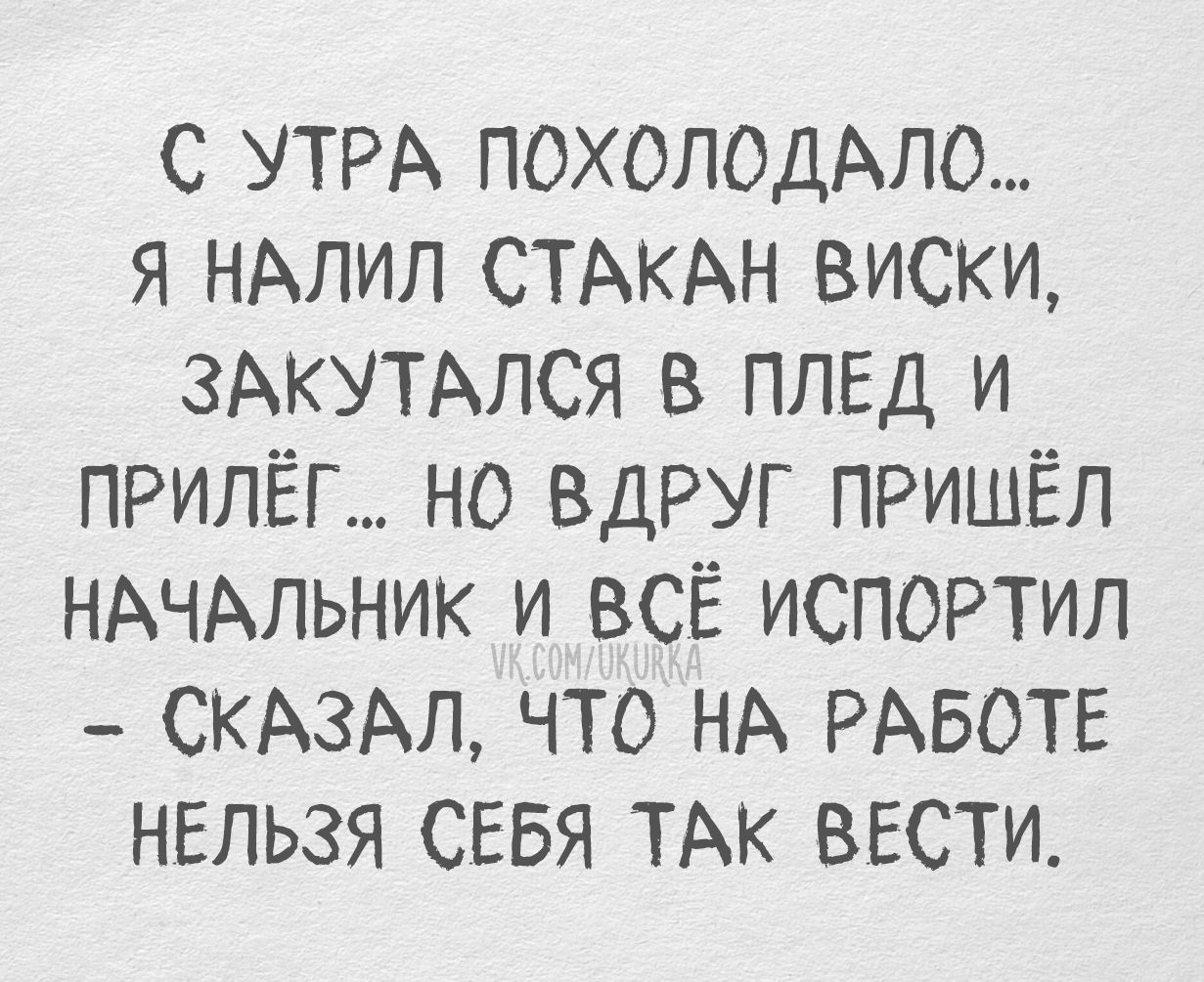 С УТРА ПОХОЛОДАЛО... Я НАЛИЛ СТАКАН ВИСКИ, ЗАКУТАЛСЯ В ПЛЕД И ПРИЛЁГ... НО ВДРУГ ПРИШЁЛ НАЧАЛЬНИК И ВСЁ ИСПОРТИЛ - СКАЗАЛ, ЧТО НА РАБОТЕ НЕЛЬЗЯ СЕБЯ ТАК ВЕСТИ.