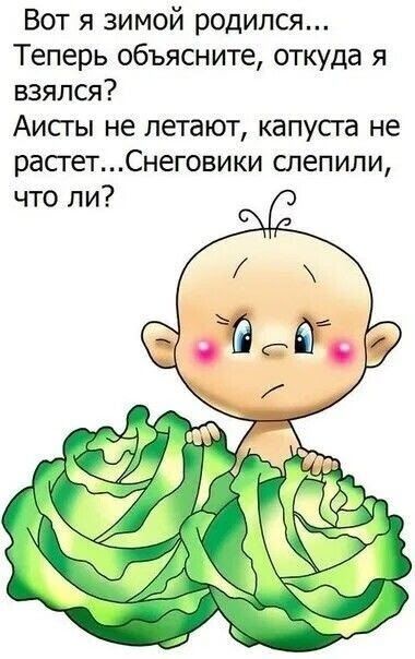Вот я зимой родился... Теперь объясните, откуда я взялся? Аисты не летают, капуста не растет...Снеговики слепили, что ли?