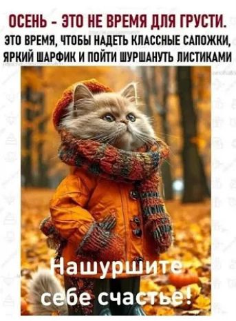 Осень - это не время для грусти. Это время, чтобы надеть классные сапожки, яркий шарфик и пойти шуршнуть листиками. Нашуршите себе счастье!