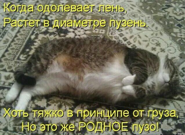 Когда одолевает лень, Растет в диаметре пузень. Хоть тяжко в принципе от груза, Но это же РОДНОЕ пузо!