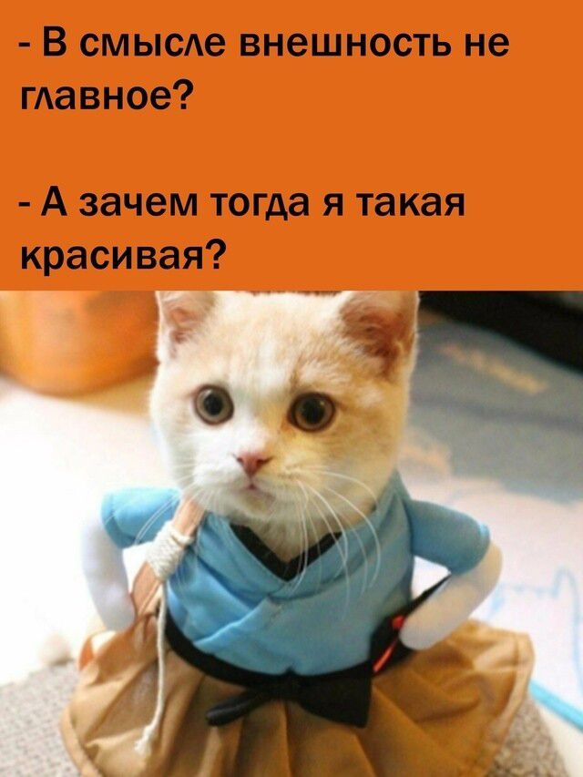 - В смысле внешность не главное?
- А зачем тогда я такая красивая?