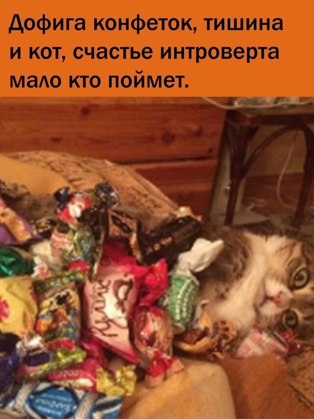 Дофига конфеток, тишина и кот, счастьe интроверта мало кто поймет.