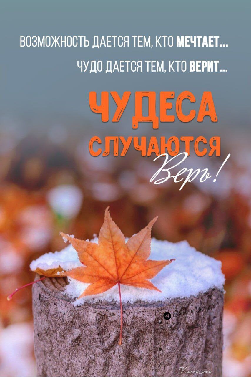 ВОЗМОЖНОСТЬ ДАЕТСЯ ТЕМ, КТО МЕЧТАЕТ... ЧУДО ДАЕТСЯ ТЕМ, КТО ВЕРИТ... ЧУДЕСА СЛУЧАЮТСЯ Верь!