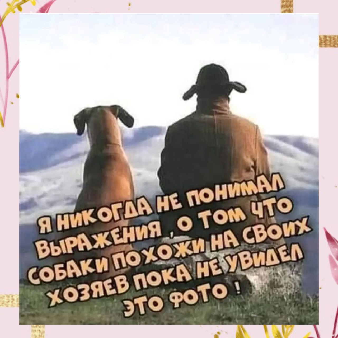 Я НИКОГДА НЕ ПОНИМАЛ ВЫРАЖЕНИЯ, О ТОМ ЧТО СОБАКИ ПОХОЖИ НА СВОИХ ХОЗЯЕВ ПОКА НЕ УВИДЕЛ ЭТО ФОТО!