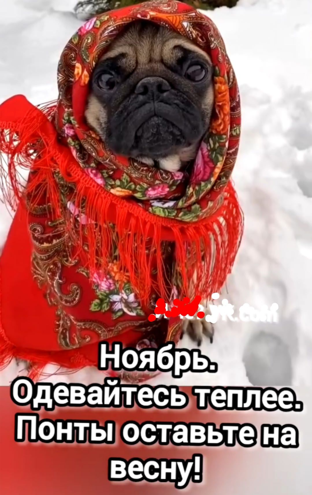 Ноябрь. Одевайтесь теплее. Понты оставьте на весну!