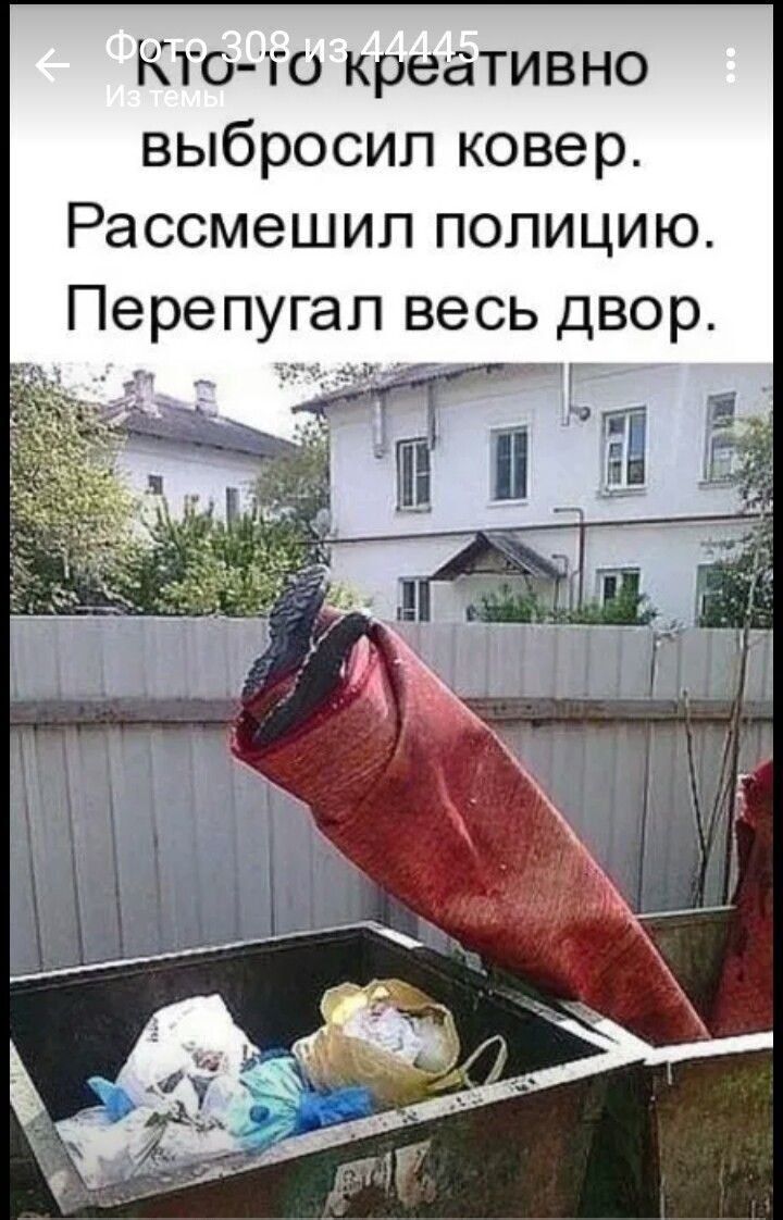 Кто-то креативно выбросил ковер. Рассмешил полицию. Перепугал весь двор.