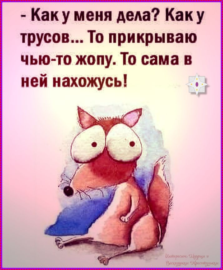 Как у меня дела? Как у трусов... То прикрываю чьё-то жопу. То сама в ней нахожусь!