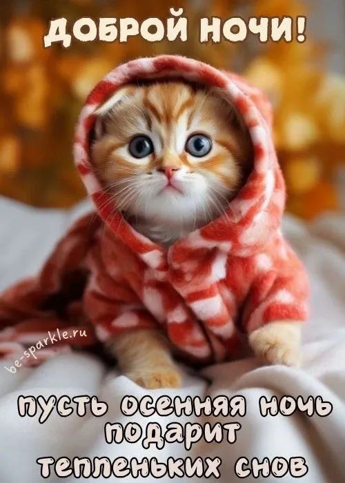 Доброй ночи! Пусть осенняя ночь подарит тепленьких снов