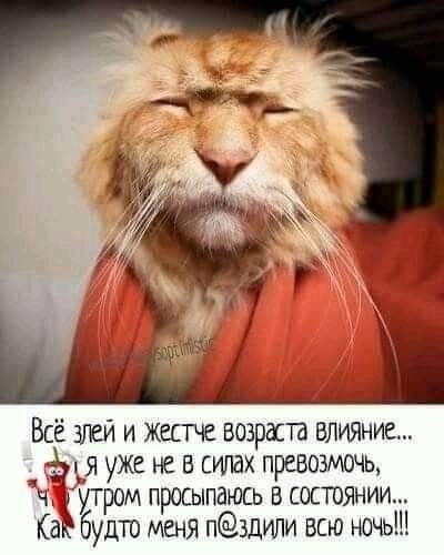 Всё злей и жестче возраста влияние... Я уже не в силах превозмочь, утром просыпаюсь в состоянии... Как будто меня пиздили всю ночь!!!