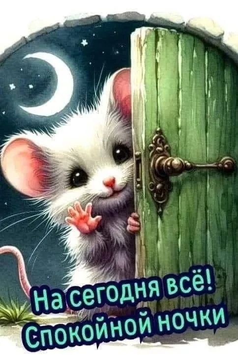 На сегодня всё! Спокойной ночи