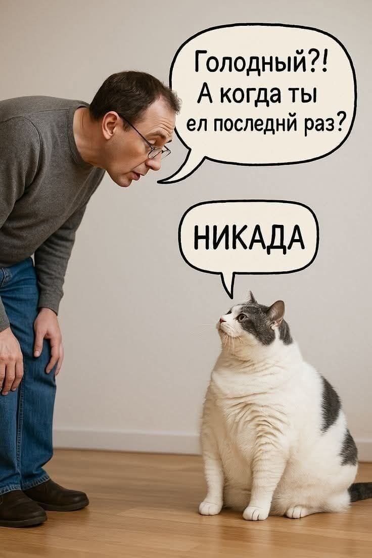 Голодный?! А когда ты ел последний раз? НИкада