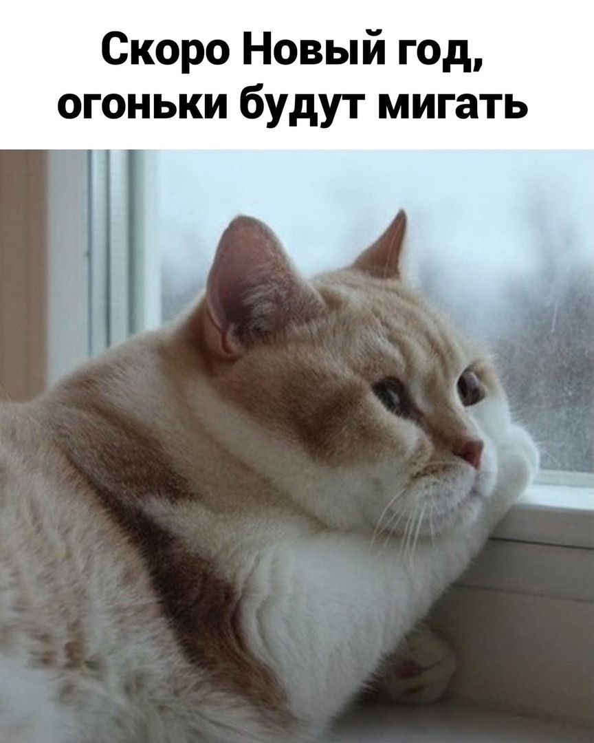 Скоро Новый год, огоньки будут мигать