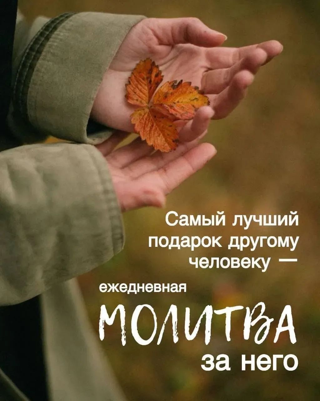 Самый лучший подарок другому человеку — ежедневная молитва за него