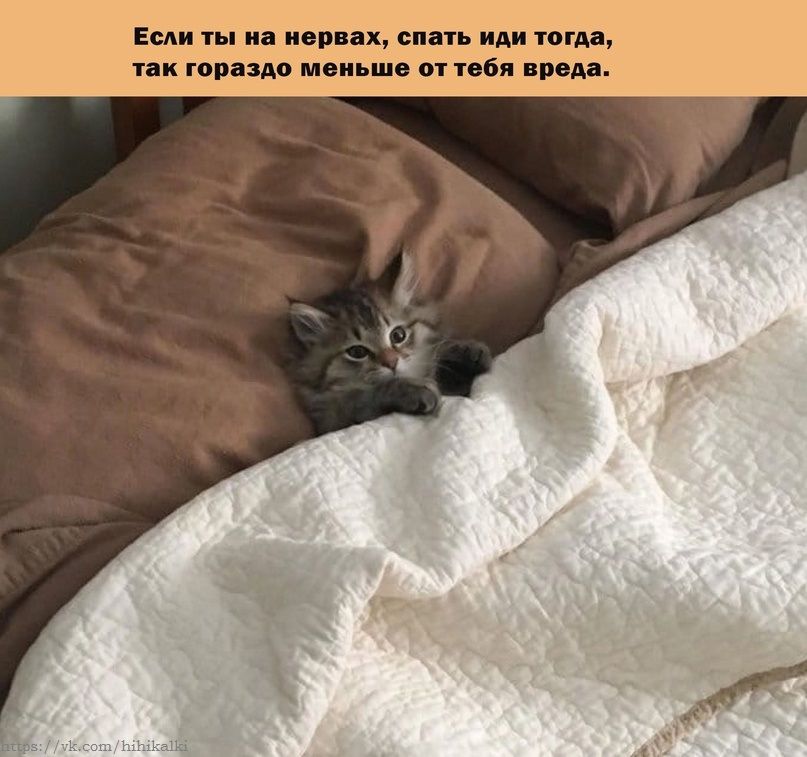 Если ты на нервах, спать иди тогда, так гораздо меньше от тебя вреда.