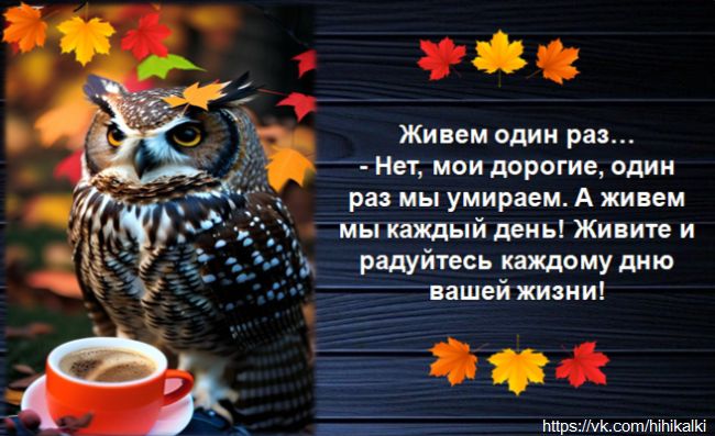 Живем один раз... - Нет, мои дорогие, один раз мы умираем. А живем мы каждый день! Живите и радуйтесь каждому дню вашей жизни!