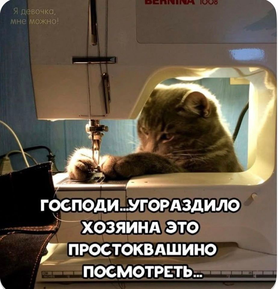 Я девочка, мне можно!
ГОСПОДИ...УГОРАЗДИЛО ХОЗЯИНА ЭТО ПРОСТОКВАШИНО ПОСМОТРЕТЬ...