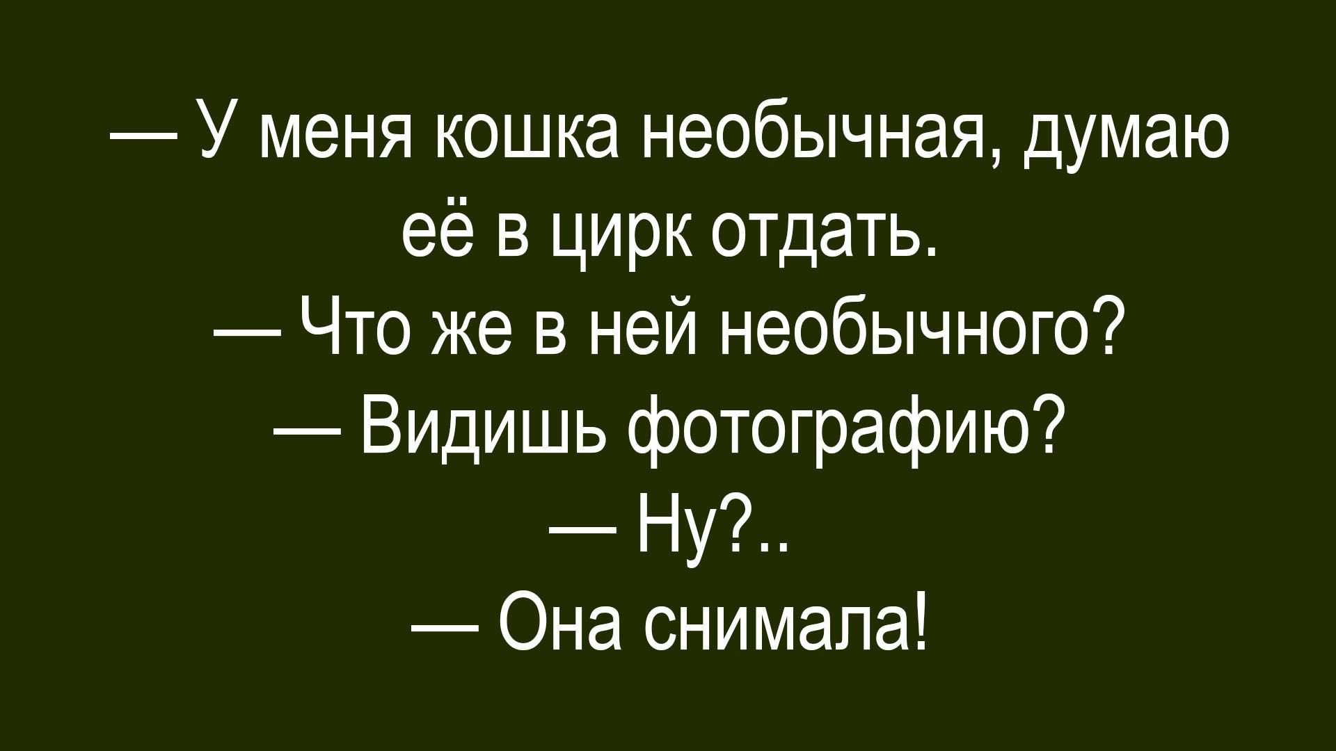 — У меня кошка необычная, думаю её в цирк отдать.
— Что же в ней необычного?
— Видишь фотографию?
— Ну?.. 
— Она снимала!
