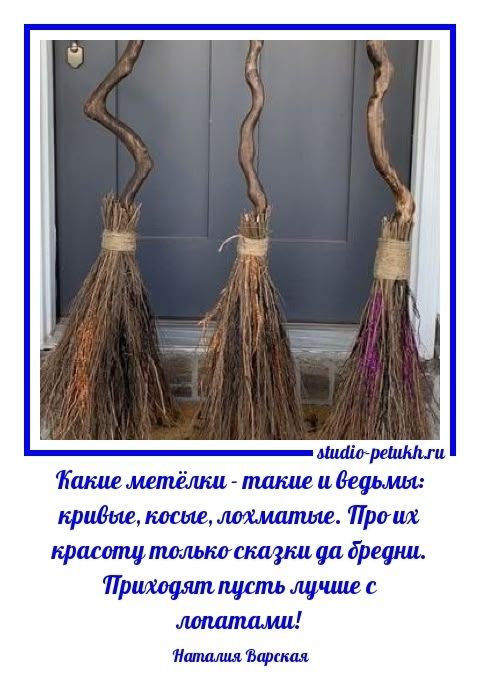 Какие метёлки - такие и ведьмы: крыые, косые, лохматые. Про их красоту только сказки да бредни. Приходят пусть лучше с лопатами! Наталия Варская
