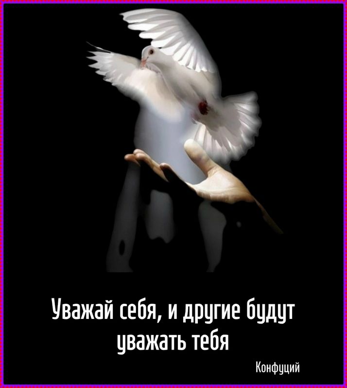 Уважай себя, и другие будут уважать тебя
Конфуций
