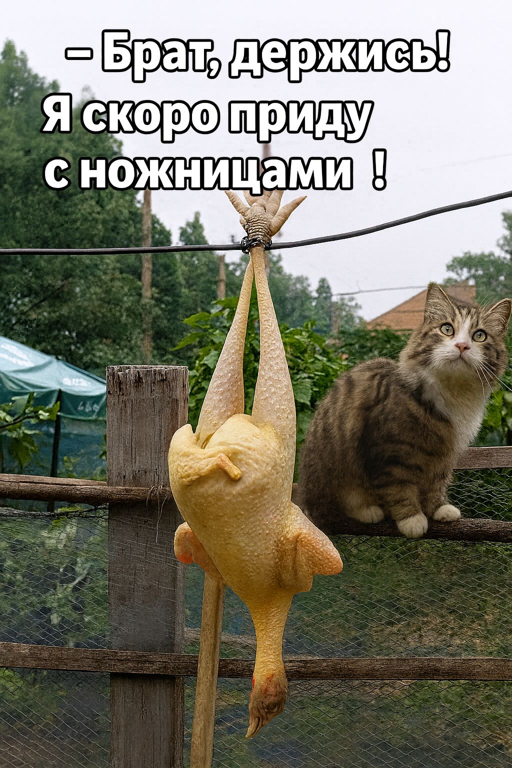 - Брат, держись! Я скоро приду с ножницами !