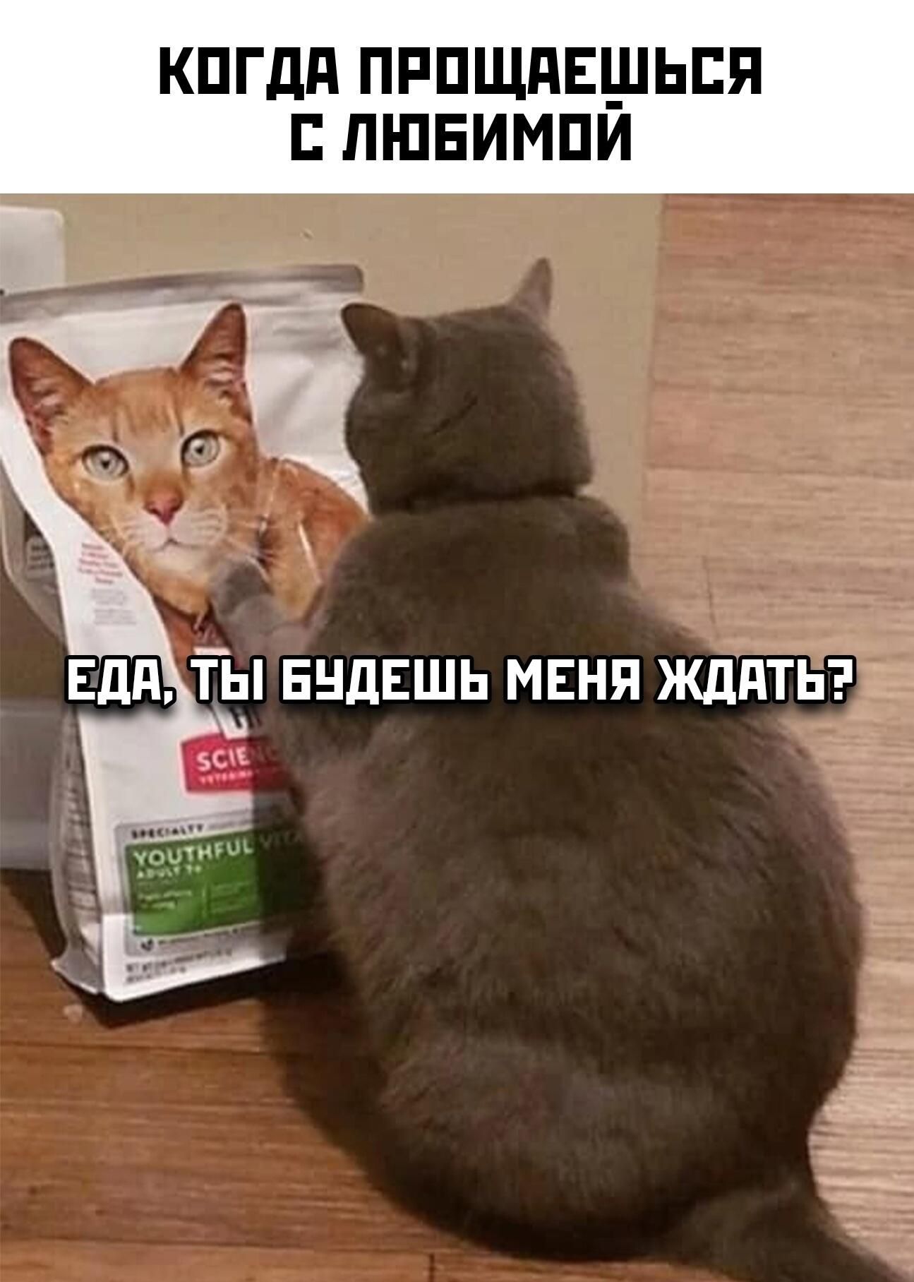 КОГДА ПРОЩАЕШЬСЯ С ЛЮБИМОЙ ЕДА, ТЫ БУДЕШЬ МЕНЯ ЖДАТЬ?