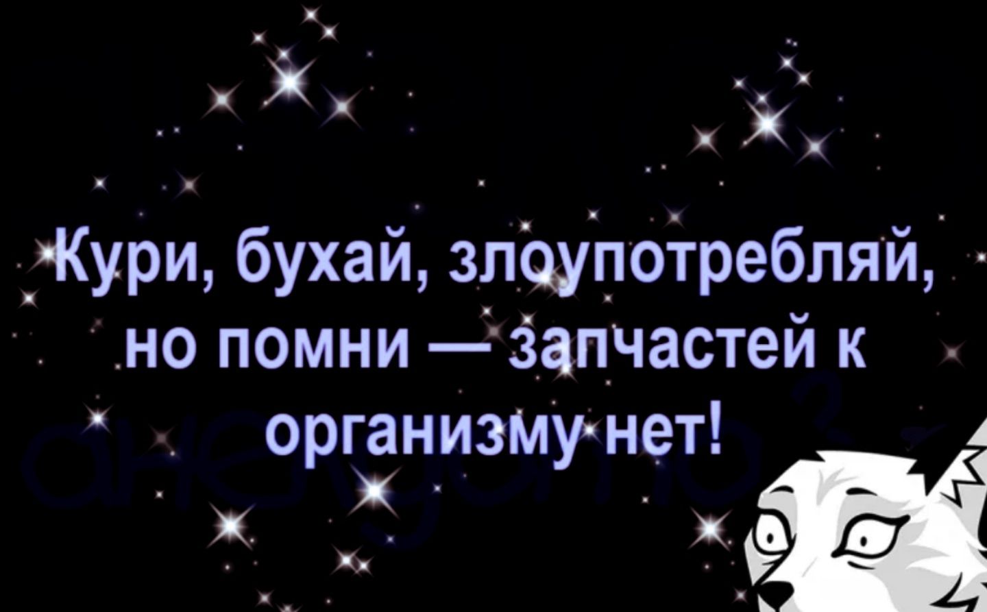 Кури, бухай, злоупотребляй, но помни — запчастей к организму нет!