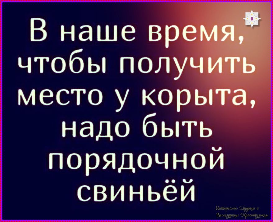 В наше время, чтобы получить место у корыта, надо быть порядочной свиньёй