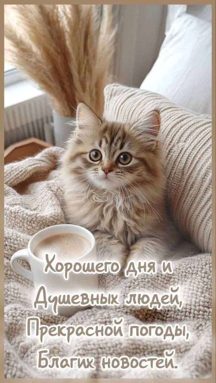 Хоршего дня и Душевных людей, Прекрасной погоды, Благих новостей.