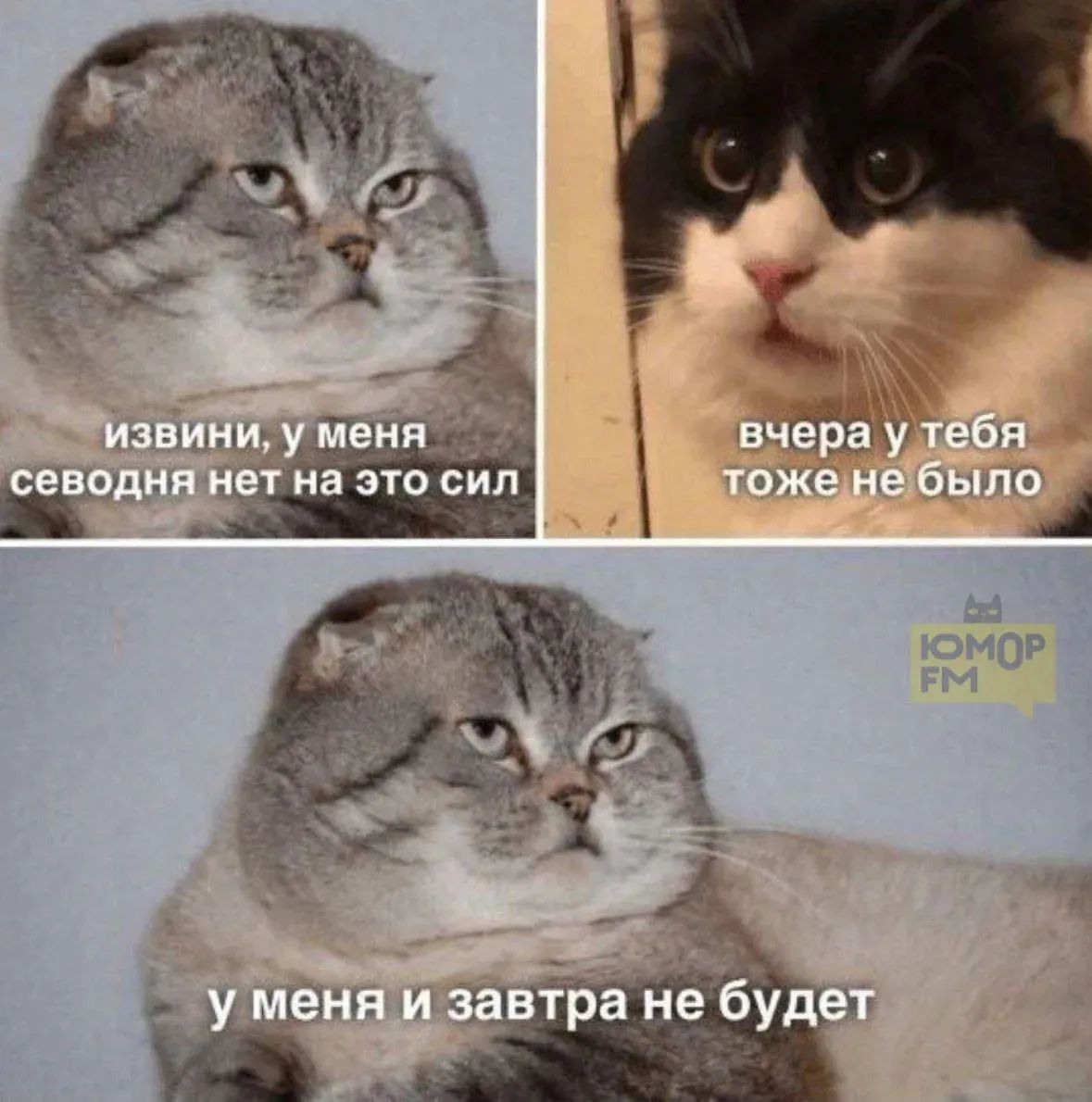 извини, у меня сегодня нет на это сил
вчера у тебя тоже не было
у меня и завтра не будет