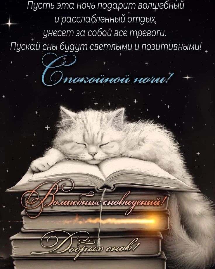 Пусть эта ночь подарит волшебный и расслабленный отдых, унесет за собой все тревоги. Пусть сны будут светлыми и позитивными! Спокойной ночи! Волшебных сновидений! Добрых снов!