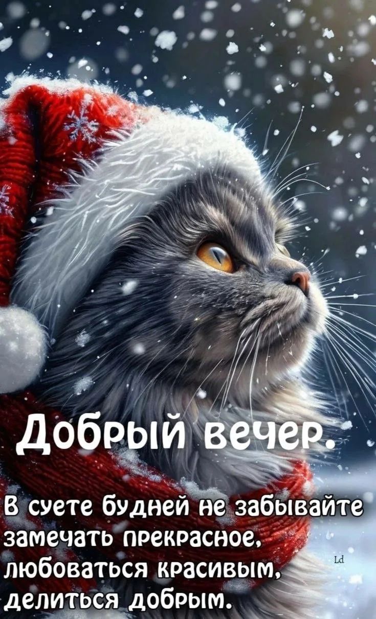 Добрый вечер. В суете будней не забывайте замечать прекрасное, любоваться красивым, делиться добрым.