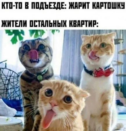 КТО-ТО В ПОДЪЕЗДЕ: ЖАРИТ КАРТОШКУ\nЖИТЕЛИ ОСТАЛЬНЫХ КВАРТИР: