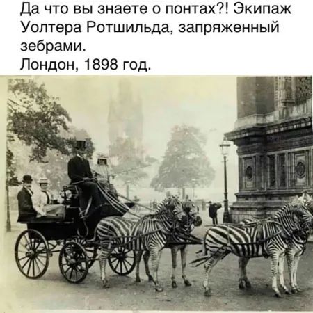 Да что вы знаете о понтах?! Экипаж Уолтера Ротшильда, запряжённый зебрами. Лондон, 1898 год.
